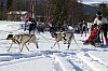 2017_3Y0A0665.jpg