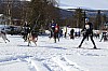 2017_3Y0A0670.jpg
