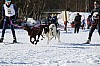 2017_3Y0A0673.jpg