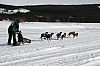 2017_3Y0A0684.jpg