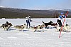 2017_3Y0A0692.jpg