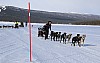 2017_3Y0A0705.jpg