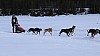 2017_3Y0A0712.jpg