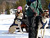 2017_3Y0A0755.jpg