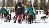 2017_3Y0A0766.jpg