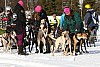 2017_3Y0A0774.jpg