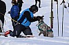 2017_3Y0A0811.jpg