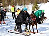 2017_3Y0A0819.jpg