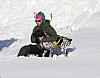 2017_3Y0A0822.jpg