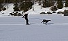 2017_3Y0A0900.jpg