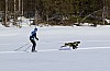2017_3Y0A0903.jpg