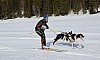 2017_3Y0A0929.jpg