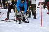 2017_3Y0A0967.jpg