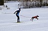 2017_3Y0A1002.jpg