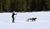 2017_3Y0A1012.jpg