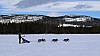 2017_3Y0A1022.jpg
