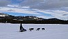 2017_3Y0A1030.jpg