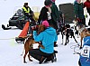 2017_3Y0A1036.jpg