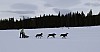 2017_3Y0A1093.jpg
