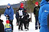 2017_3Y0A1155.jpg