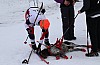 2017_3Y0A1172.jpg