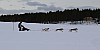 2017_3Y0A1198.jpg