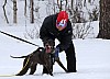 2017_3Y0A1212.jpg