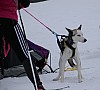 2017_3Y0A1269.jpg