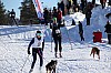 3Y0A1440.jpg 3Y0A1440.jpg