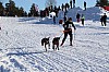 3Y0A1445.jpg 3Y0A1445.jpg