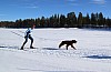 3Y0A1486.jpg 3Y0A1486.jpg