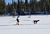 3Y0A1518.jpg 3Y0A1518.jpg
