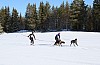 3Y0A1528.jpg 3Y0A1528.jpg