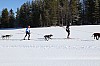3Y0A1543.jpg 3Y0A1543.jpg