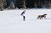 3Y0A1554.jpg 3Y0A1554.jpg