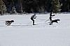 3Y0A1557.jpg 3Y0A1557.jpg