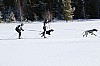 3Y0A1558.jpg 3Y0A1558.jpg