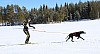 3Y0A1567.jpg 3Y0A1567.jpg