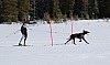 3Y0A1580.jpg 3Y0A1580.jpg