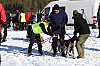 3Y0A1623.jpg 3Y0A1623.jpg