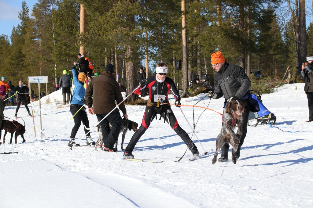 2017_3Y0A2376.jpg