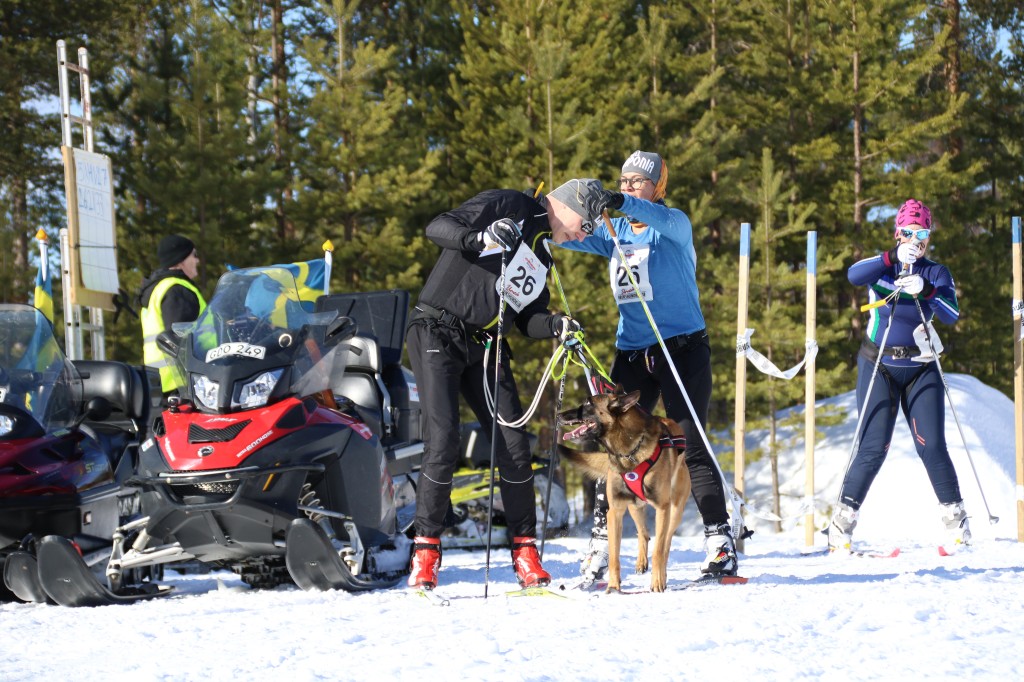 2017_3Y0A2440.jpg