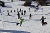 2017_3Y0A2106.jpg 2017_3Y0A2106.jpg