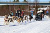 2017_3Y0A2128.jpg 2017_3Y0A2128.jpg