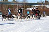 2017_3Y0A2129.jpg 2017_3Y0A2129.jpg
