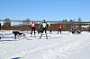 2017_3Y0A2132.jpg 2017_3Y0A2132.jpg