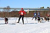 2017_3Y0A2133.jpg 2017_3Y0A2133.jpg