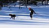 2017_3Y0A2177.jpg 2017_3Y0A2177.jpg