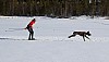 2017_3Y0A2184.jpg 2017_3Y0A2184.jpg