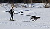 2017_3Y0A2192.jpg 2017_3Y0A2192.jpg